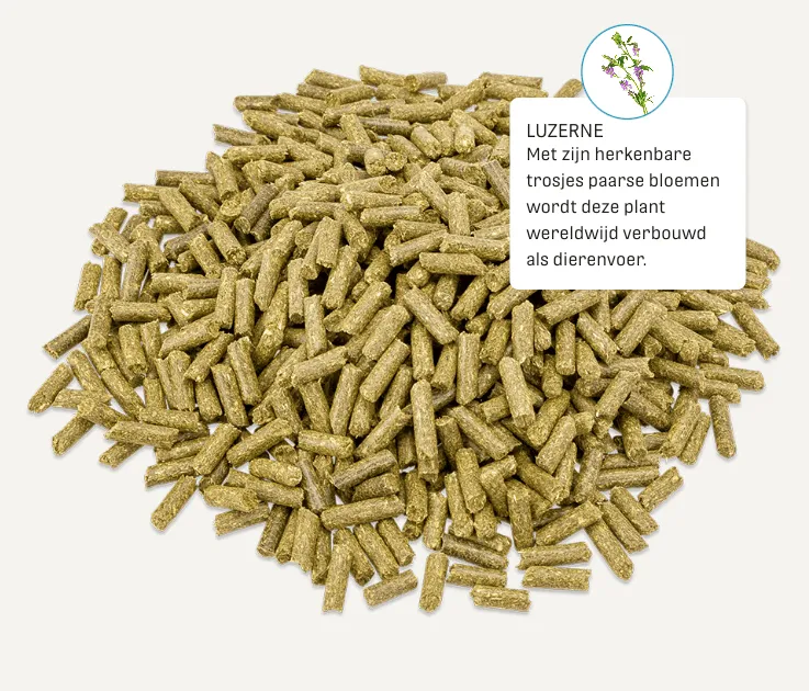 metazoa-product-fitright-luzerne.webp