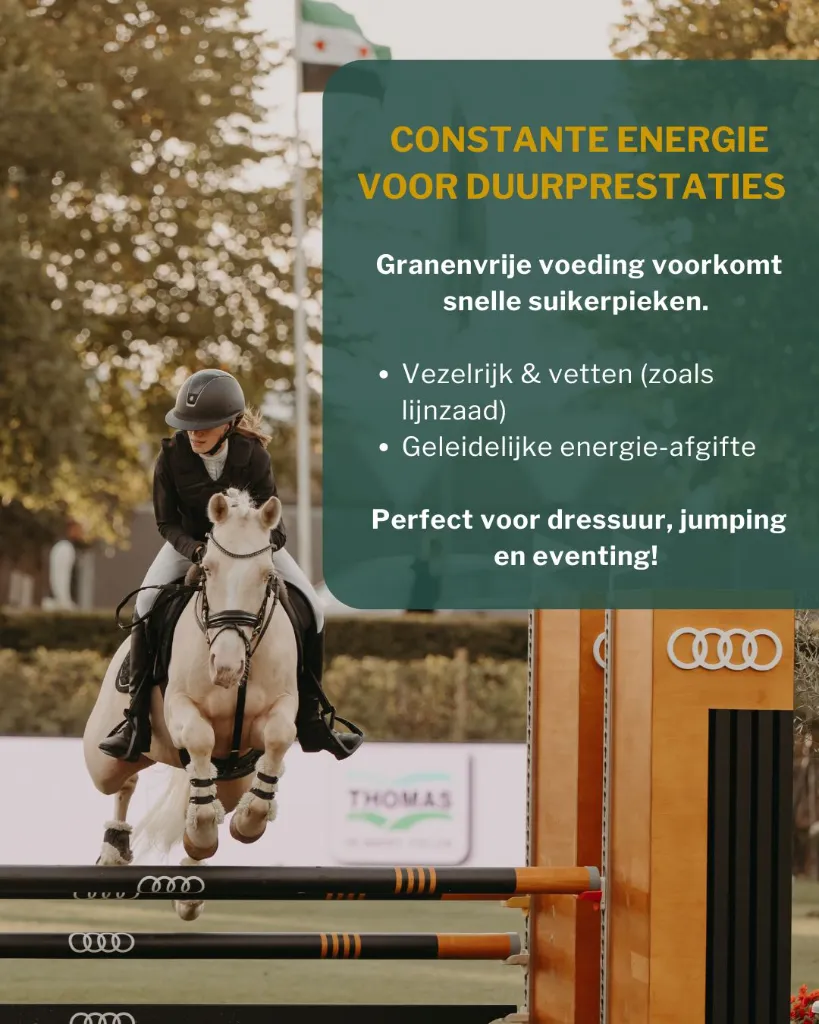 Sportpaarden_nieuw.webp