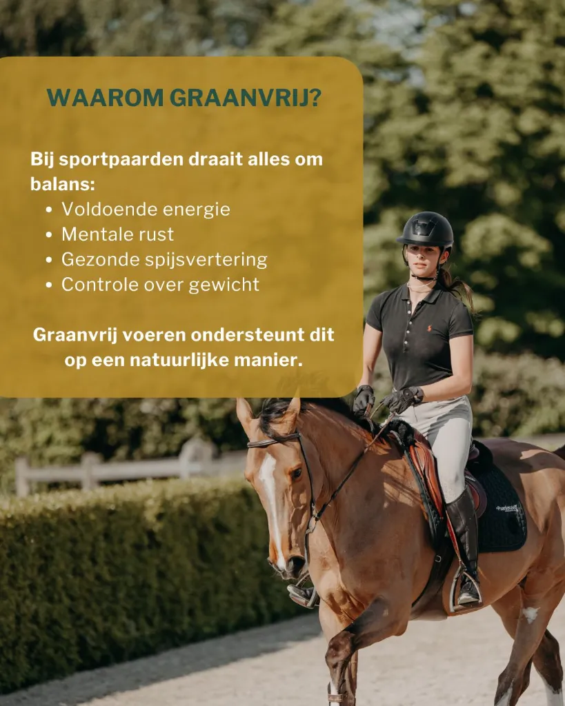 Sportpaarden 2.webp
