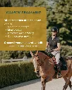 Sportpaarden 2.webp