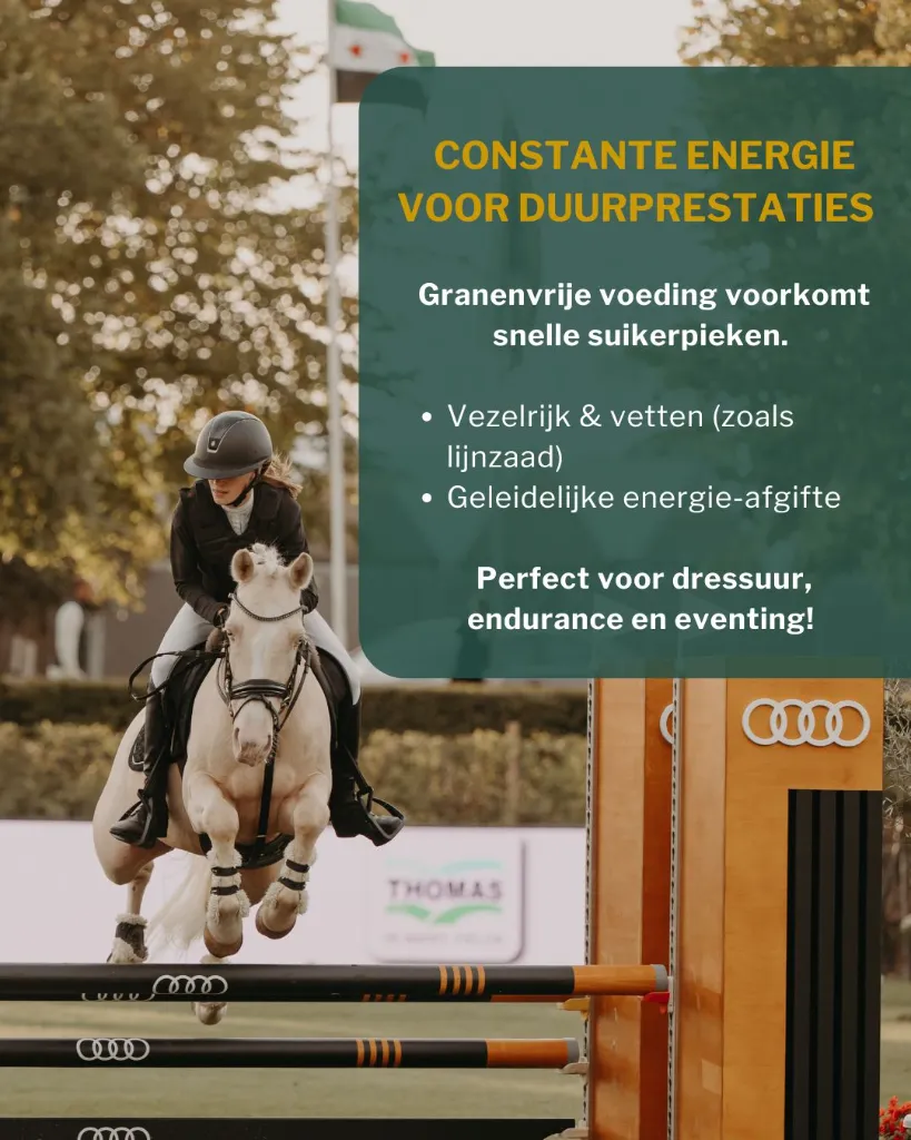 Sportpaarden 3.webp