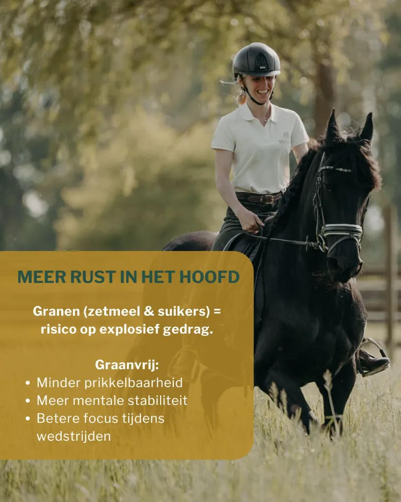 Sportpaarden 4.webp