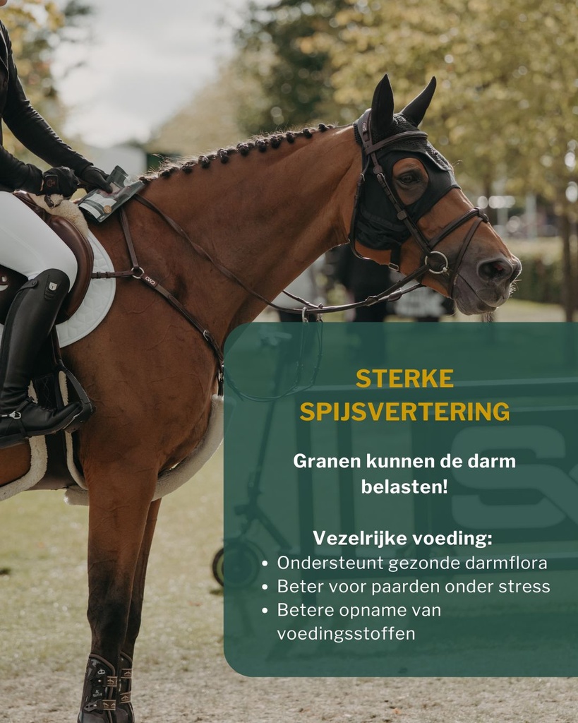 Sportpaarden 5.jpg