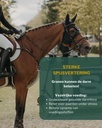 Sportpaarden 5.jpg