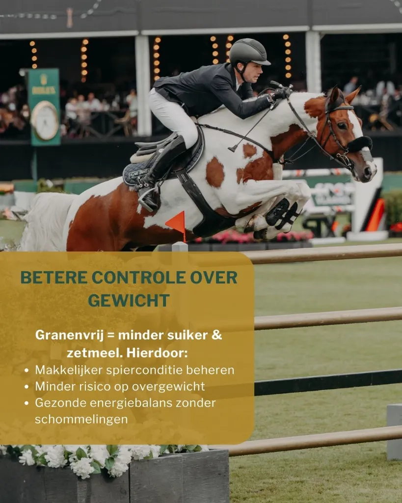 Sportpaarden 6.webp