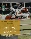 Sportpaarden 6.webp