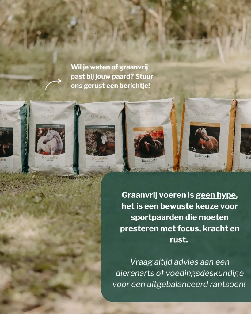 Sportpaarden 7.webp