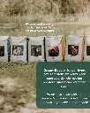 Sportpaarden 7.webp