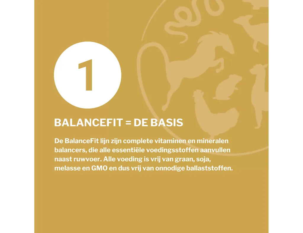 3.webp