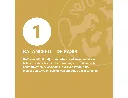 3.webp