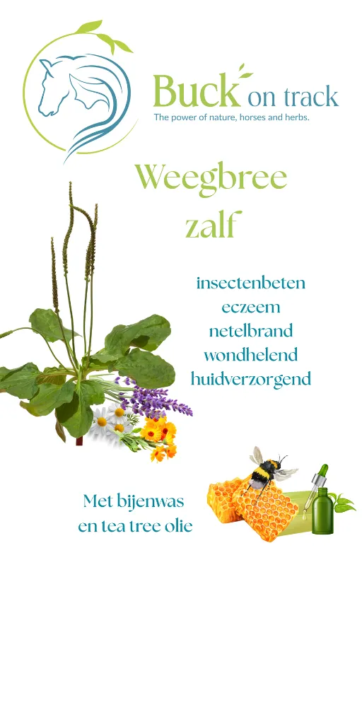 weegbree zalf banner.webp