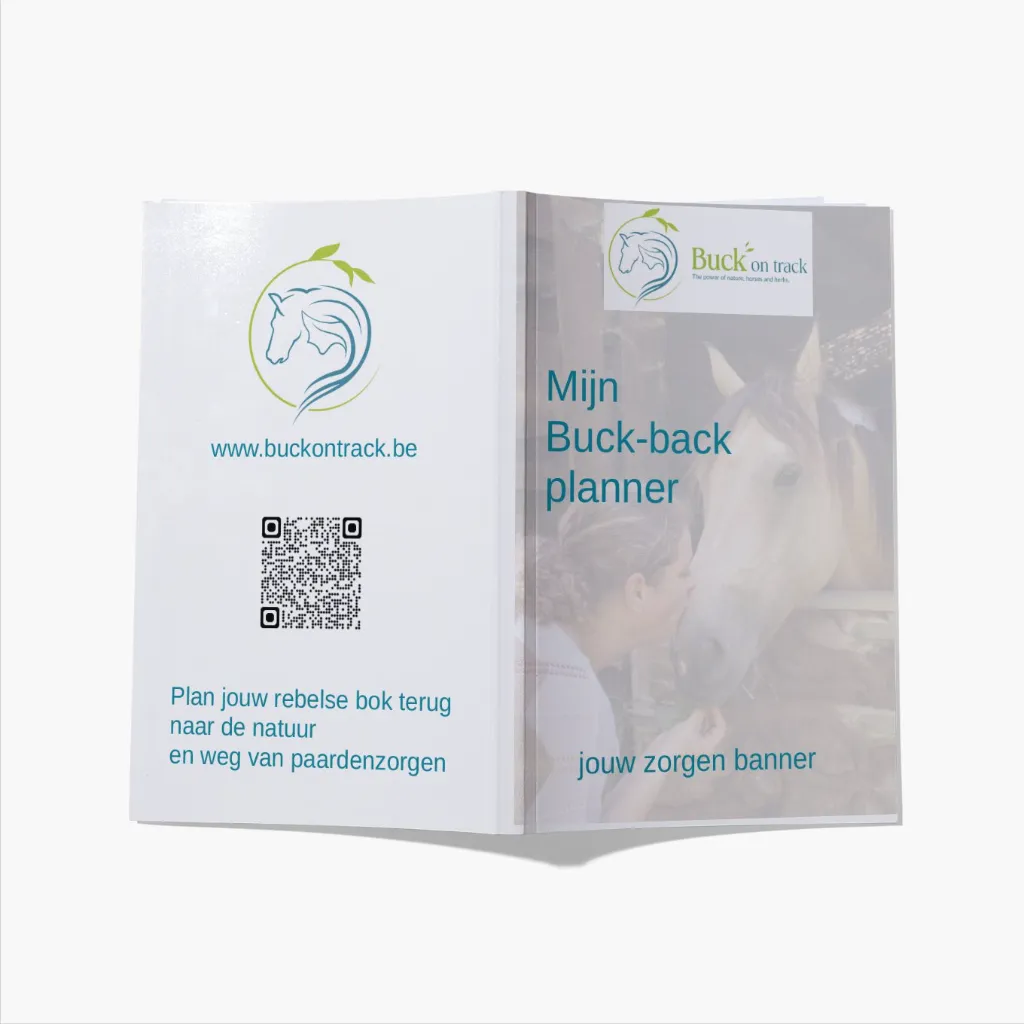 Buck back planner.webp