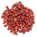 Rozenbottels heel.webp