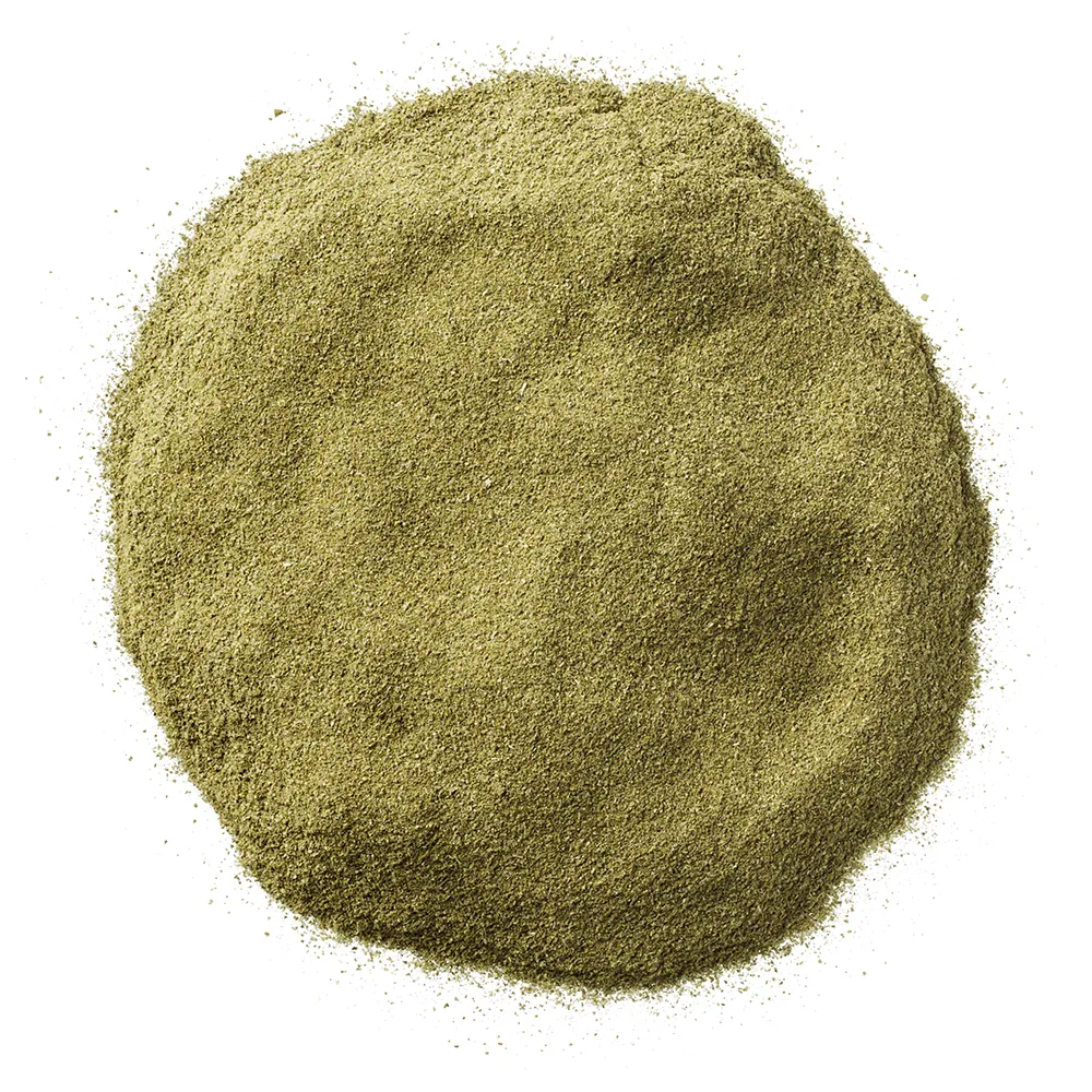 Zwarte Bes Blad poeder.webp