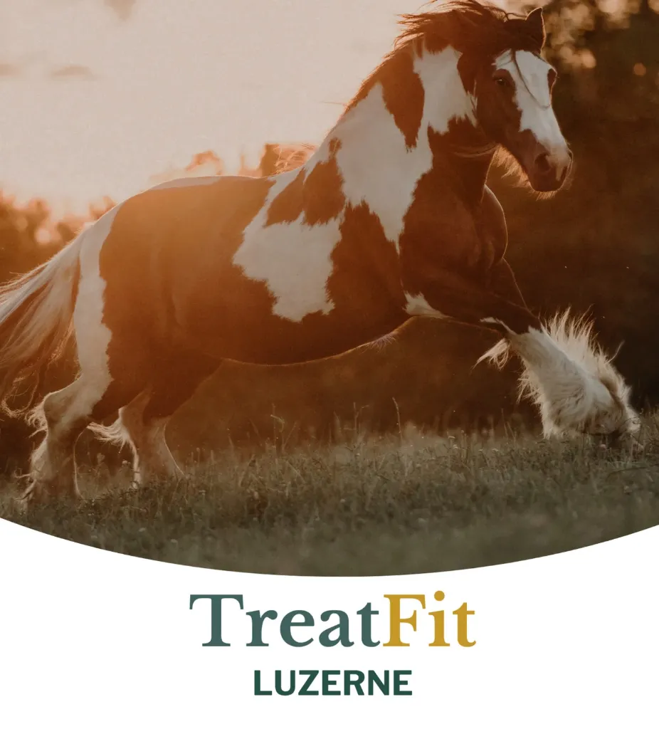 [MET20063] Metazoa TreatFits 4kg