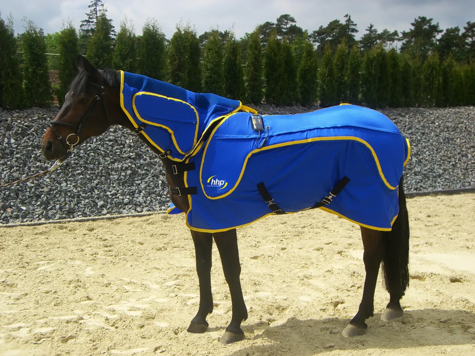 [AND01] Anduvet massagedeken sessie