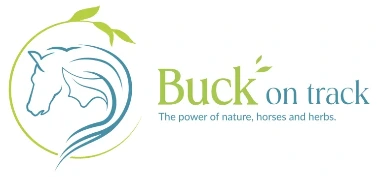 Buck on track